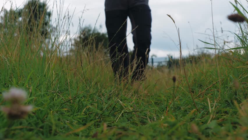 Walking through tall grass at dusk while exploring a serene natural landscape in early summer