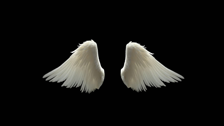 flapping of angel's wings loop in alpha channel. 4K transparent background