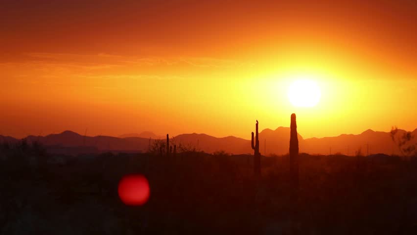 Stunning Arizona desert sunset with tall saguaro cacti in the foreground and the sun setting over distant mountains. Captures the beauty of the Sonoran Desert landscape, perfect for themes of nature. - Powered by Shutterstock - Get 15% off with code: PIKWIZARD15