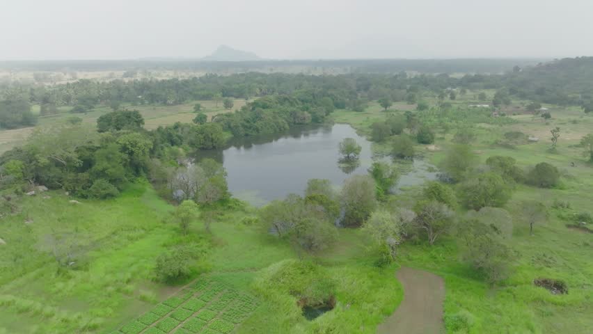 Aerial view of a peaceful lake in the countryside of Sri Lanka, with green trees all around it.