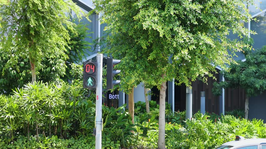 A pedestrian traffic signal transitions from red to green with a countdown timer, set against lush urban landscaping in bright daylight with a static camera