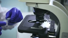 A medical research scientist places a glass slide under the microscope to analyze a sample in a pharmaceutical laboratory.
 - Powered by Shutterstock - Get 15% off with code: PIKWIZARD15