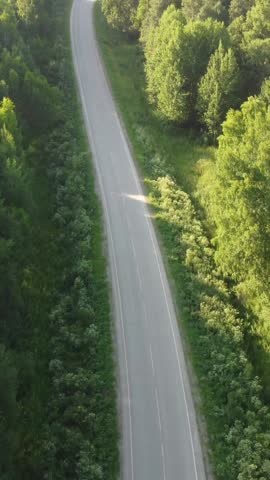View from above of a wooded area in summer. 