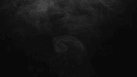 Delicate mist slowly drifting across black background. Ethereal fog or smog effect for atmospheric overlays and moody visuals. - Powered by Shutterstock - Get 15% off with code: PIKWIZARD15