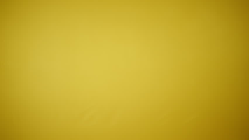 Cheerful kids in witch costumes hold pumpkins against a bright yellow backdrop, celebrating Halloween.