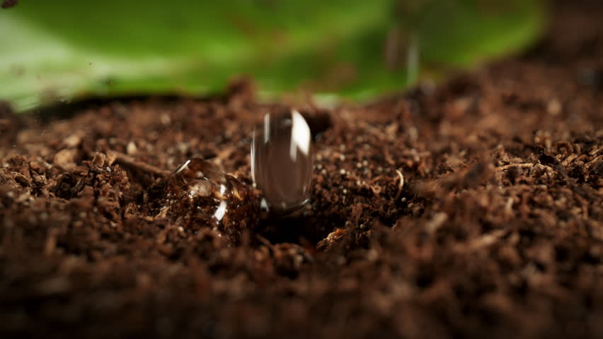 Super Slow Motion Detail Shot of Wated Drops Falling and Splashing on Soil Substrate at 1000fps.