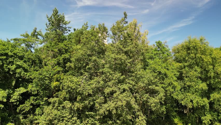 Dramatic Dolwyddelan Castle on a lovely summer afternoon - aerial drone rise up and reveal - North Wales, UK