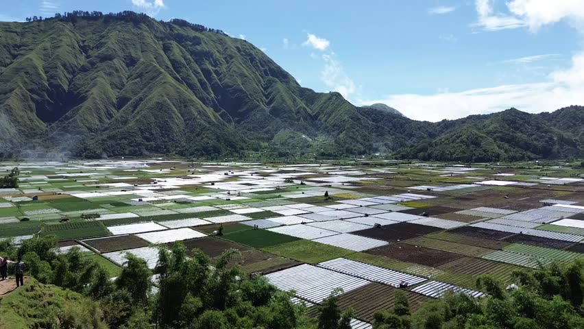 Aerial view of rice fields and mountainscape from Selong Hill, Sembalun Lawang, Lombok, West Nusa Tenggara, Indonesia.