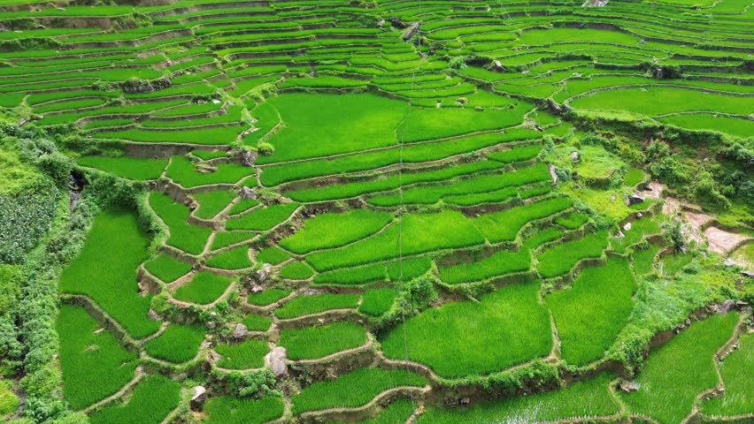 Aerial view of rice terraces and small village in Sapa, Vietnam, showing traditional houses, farmland, and dramatic mountain landscape.
