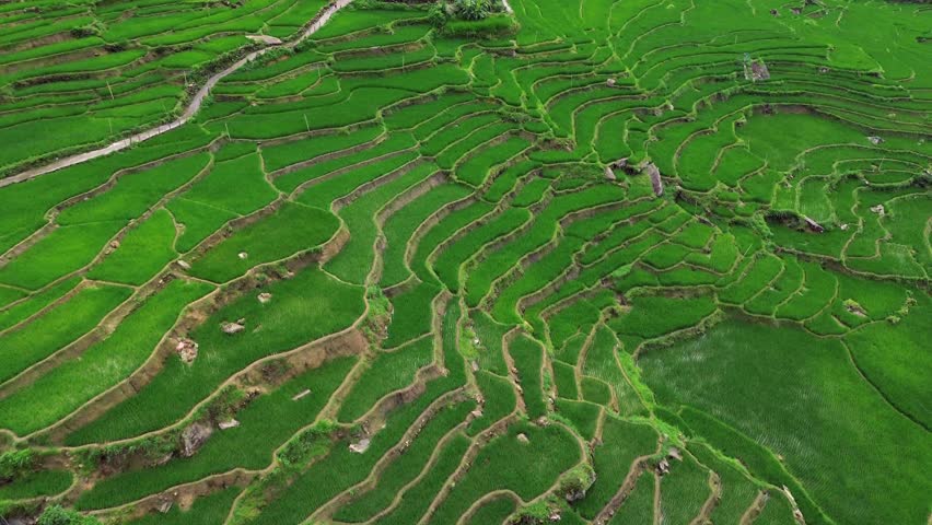 Aerial view of rice terraces and small village in Sapa, Vietnam, showing traditional houses, farmland, and dramatic mountain landscape.