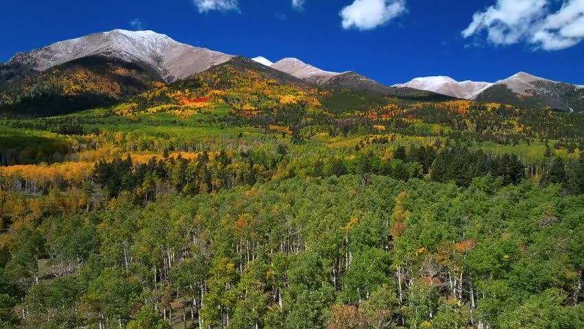 Mount Mt Shavano Tabeguache Peak aerial drone Colorado trail fall autumn Aspen Trees first snow dusting Swatch Range Salida Buena Vista morning vibrant blue sky San Isabel National Forest backward pan