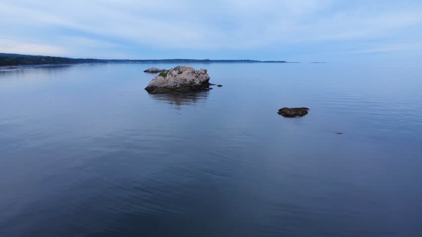 Flying over a calm ocean towards a group of rocks colonized by seabirds such as double-crested cormorants, gulls and razorbills. Metis-sur-Mer, Quebec, Canada, 2025.