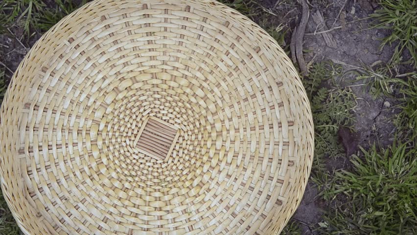 Fresh fennel, escarole and broccoli falling in a basket in an urban vegetable garden.