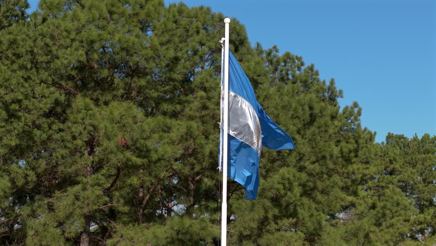 Argentine flag waving surrounded by trees