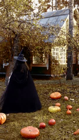 Captivating video and imagery of vibrant pumpkins, embodying the spirit of Halloween, Autumn, and the Fall season. Explore our collection of high-quality clips and photos featuring the quintessential 