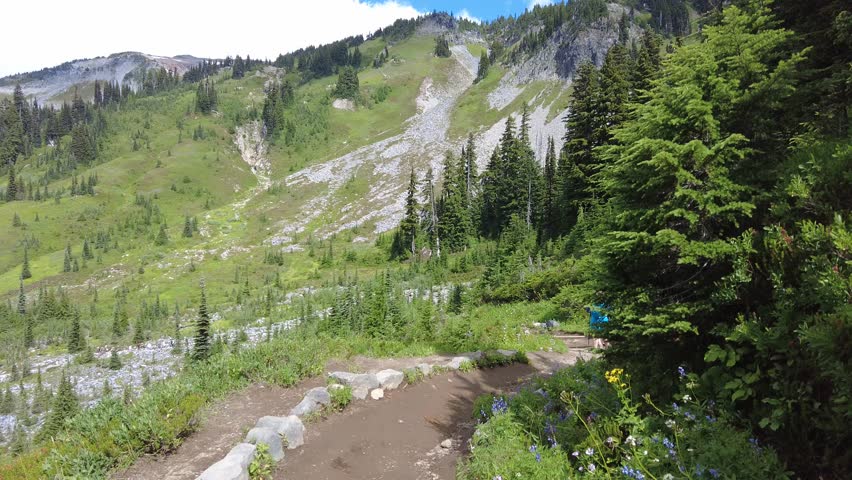 A tranquil scene of a mountain trail at Paradise Mt Rainier National Park Washington USA, showcasing lush greenery and blooming wildflowers.