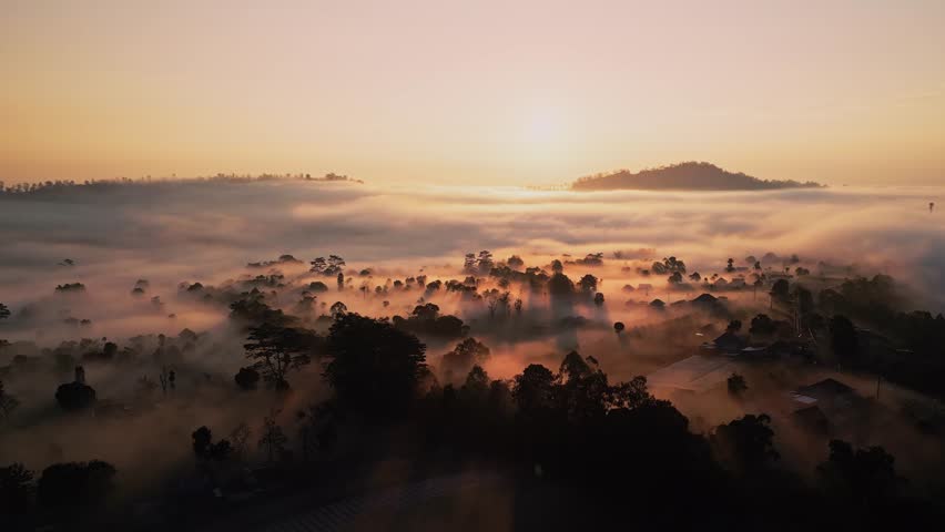 Golden sunrise over Bali Pingin Kintamani shows clouds embracing treetops at high altitude, with warm sunlight streaming through and illuminating the magical landscape.