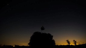 Night Landscape Time Lapse With Moving Star Trails And Tree Silhouette - Powered by Shutterstock - Get 15% off with code: PIKWIZARD15