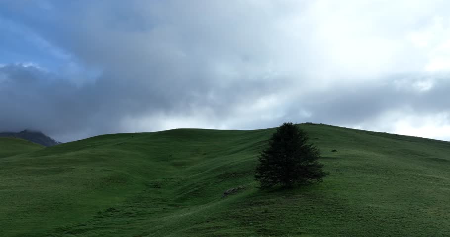 Aerial footage of beautiful high altitude grassland mountains and a pine tree landscape in China