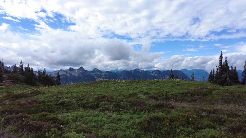 Experience the serene beauty of Paradise Mt Rainier National Park, Washington USA, where alpine meadows meet rugged peaks.