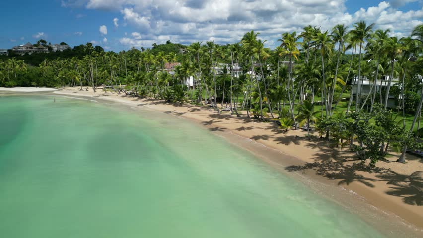 Drone footage of Playa Bonita, Dominican Republic — wide sandy beach, turquoise sea, and palm trees in full sunlight. Great for travel media