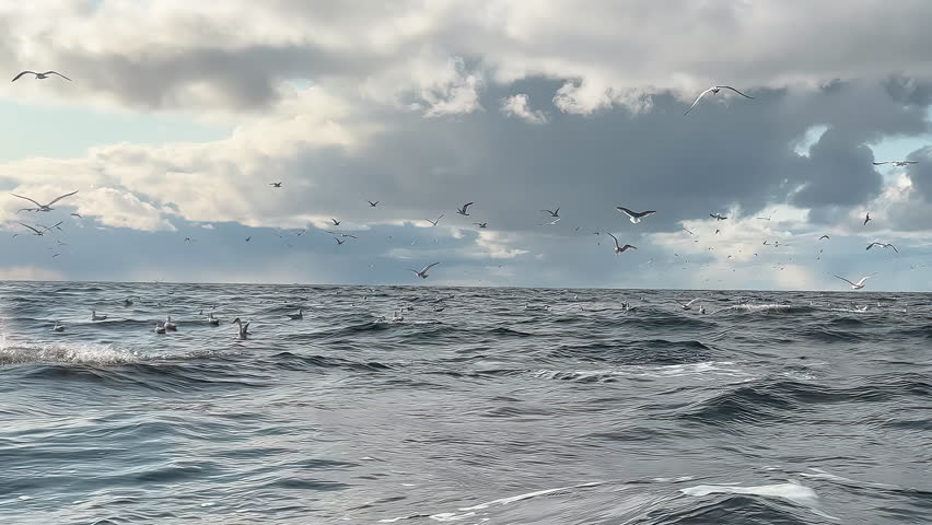 Humpback whale tale diving slowly in Arctic. View from a boat rocking on the waves