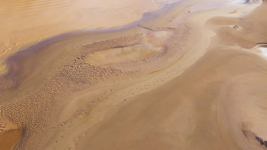 Sandbank Pool with Animal Tracks on the Shore of Tambopata River, Aerial View