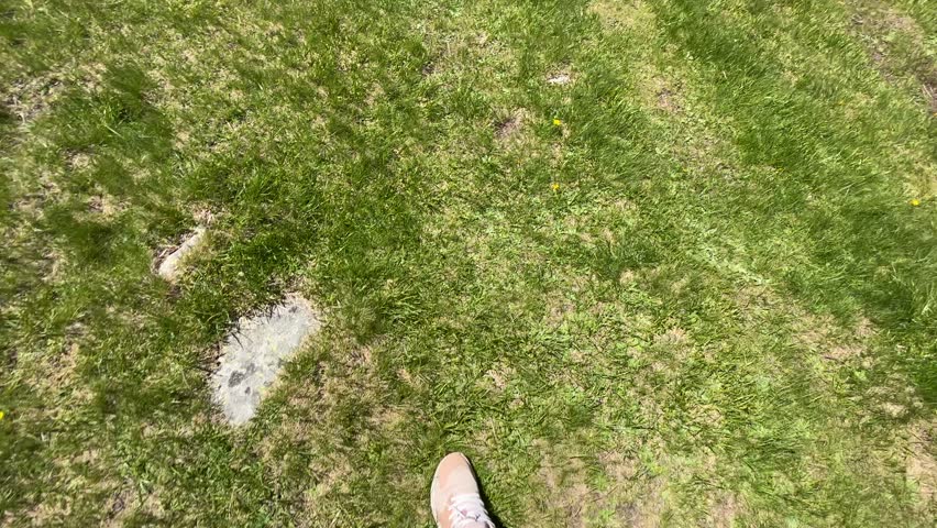 A serene mountain lake reflecting the clear blue sky and surrounding peaks, nestled in the vibrant green landscape of Pirin Mountain, Bulgaria, on a beautiful summer day.