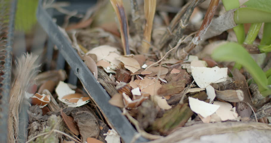 Put the eggshells in a plant pot.Put eggshells in the soil to add minerals to the soil and plants.