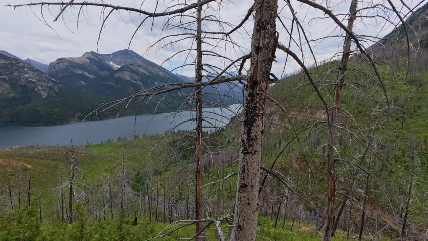 View of Waterton Lakes National Park from a Mountain Trail