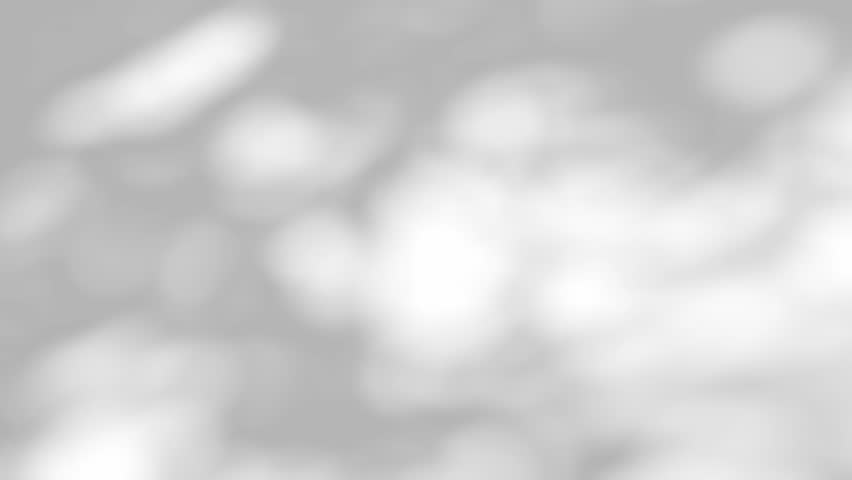 Shadow motion of branch tree leaves on wall. Sunlight overlay effect shadows. Minimal blurred natural backgrounds. Summer tropical surface backdrop.