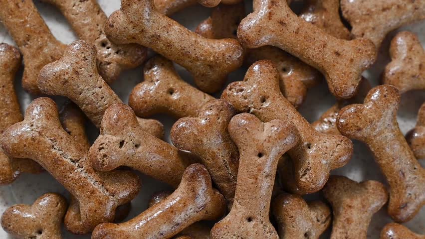 Pet food, dry dog food , bone shaped in a bowl.