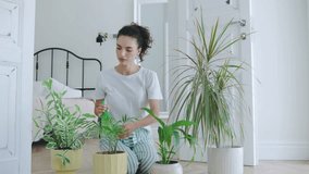 Indoor gardening activity in a bright room while watering potted plants in morning sunlight during a peaceful home environment - Powered by Shutterstock - Get 15% off with code: PIKWIZARD15
