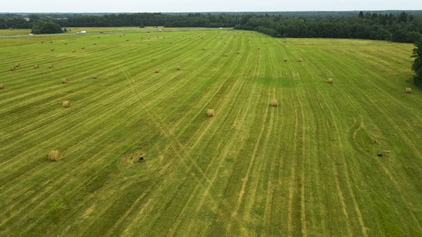 Aerial drone footage flying and gliding over freshly made silage wheat hay bale rolls on a grassy green farm field land with a highway with cars and vehicles in the background at a countryside at day.