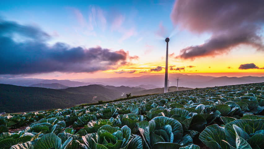 4k Time-lapse Video (Zoom Out)of Sunrise View at Cabbage Garden on Maebongsan (Taebak) Mountain in Gangwon Province, South Korea