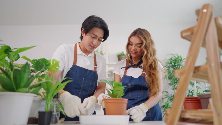 Asian young couple working, caring for plants together in a tree shop. Attractive small business man and woman owners feeling happy and relax while managing plant store, arranging trees for customer.