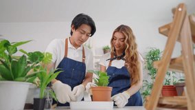 Asian young couple working, caring for plants together in a tree shop. Attractive small business man and woman owners feeling happy and relax while managing plant store, arranging trees for customer. - Powered by Shutterstock - Get 15% off with code: PIKWIZARD15