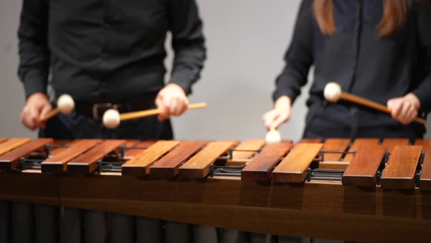 Musicians hands close up percussionist duet playing marimba xylophone concert front view with lens blur
