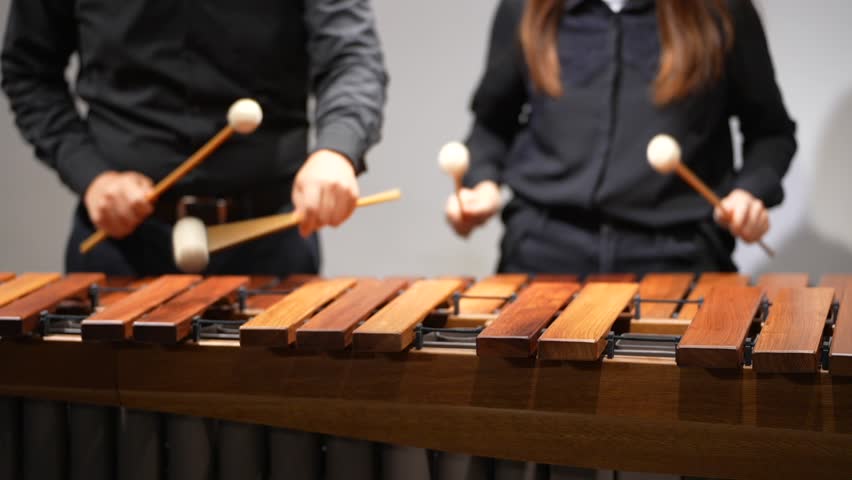 Musicians hands close up percussionist duet playing marimba xylophone concert front view with lens blur