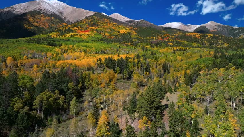Mount Shavano Tabeguache Peak Colligate Swatch Range Salida Buena Vista aerial drone Colorado fall autumn Aspen Trees color yellow orange morning sun blue sky San Isabel National Forest backwards pan