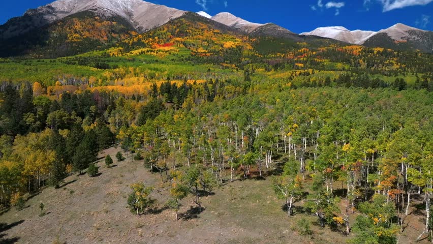 Mount Shavano Tabeguache Peak Colligate Swatch Range Salida Buena Vista aerial drone Colorado fall autumn Aspen Trees color yellow orange morning sun blue sky San Isabel National Forest forwards pan