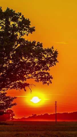Vertical View Of Moonlight On A Red Fiery Sunset Sky With Silhouettes. Timelapse