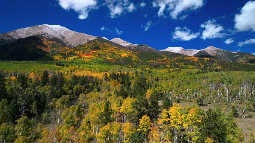 Mount Shavano Tabeguache Peak Colligate Swatch Range Salida Buena Vista aerial drone Colorado fall autumn Aspen Trees color yellow orange morning sun blue sky San Isabel National Forest upwards motion