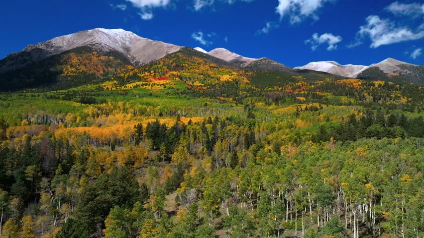 Mount Mt Shavano Tabeguache Peak aerial drone Colorado trail fall autumn Aspen Trees first snow dusting Swatch Range Salida Buena Vista morning blue sky San Isabel National Forest parallax circle left