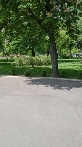 Spring panoramic view of botanical garden landscape. Panoramic camera movement across spring botanical garden with lush greenery, flowerbeds, trimmed lawns and decorative trees under cloudy sky.