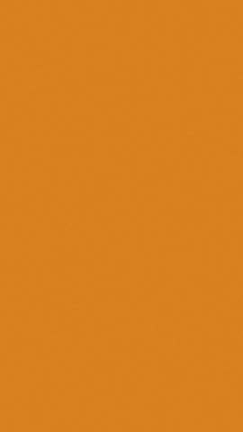 cute halloween background with pumpkins, black cat, ghosts and stars animation