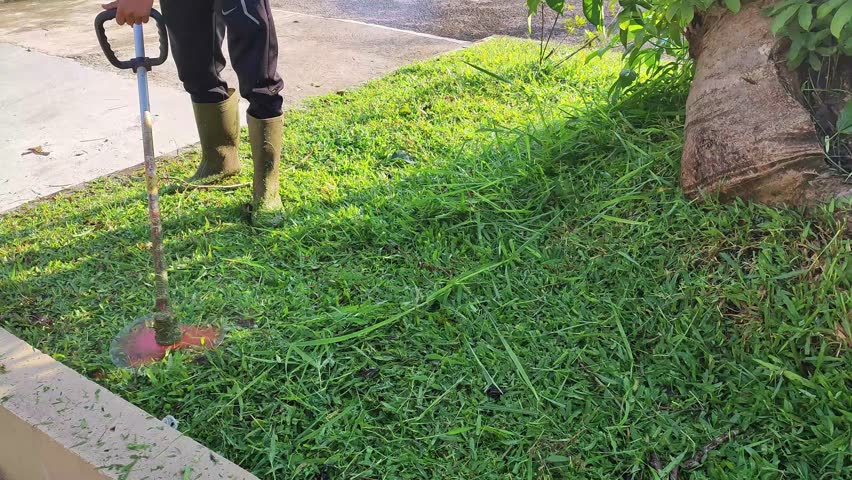 A man trims grass with a motorized blade, maintaining a clean and neat lawn under the morning light, blending manual effort with modern tools.