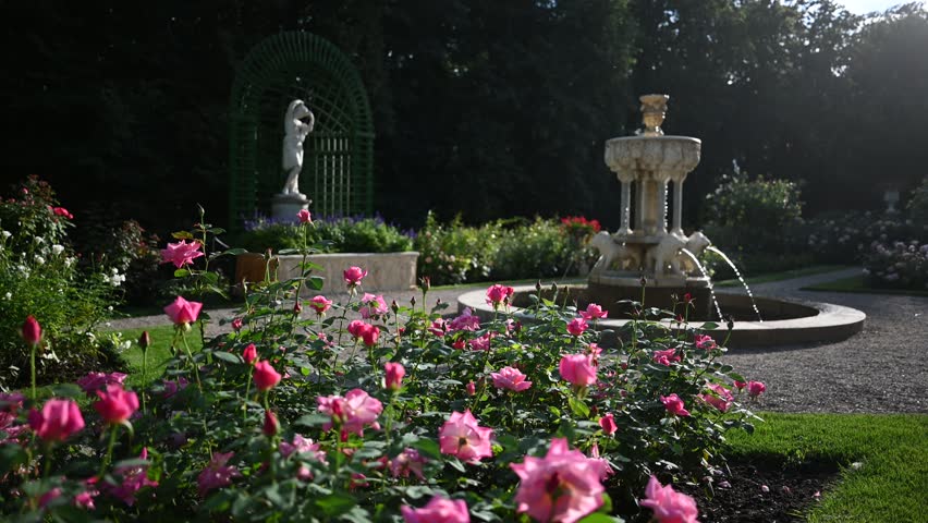 Discover the Tranquil Beauty of a Historic Rose Garden with a Fountain in Lancut, Poland.