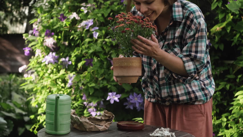 Container gardening. Female gardener takes care of potted flowering plant in backyard