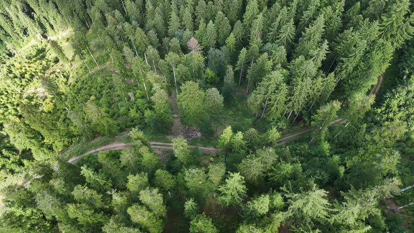 Aerial view of a dense forest with varying shades of green, creating a mosaic of textures and tones, Staré Hory, Banská Bystrica Region, Slovakia.